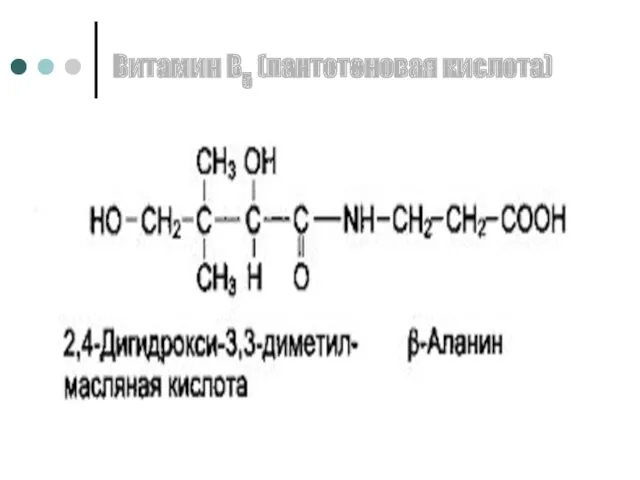 Витамин В5 (пантотеновая кислота)