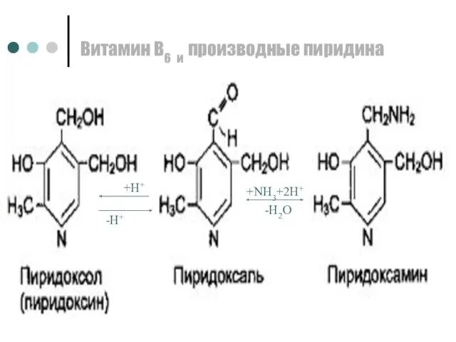 Витамин В6 и производные пиридина +Н+ -Н+ +NH3+2Н+ -Н2О