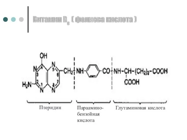 Витамин Вс ( фолиева кислота ) Птеридин Параамино- бензойная кислота Глутаминовая кислота