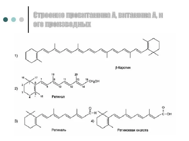 Строение провитамина А, витамина А, и его производных
