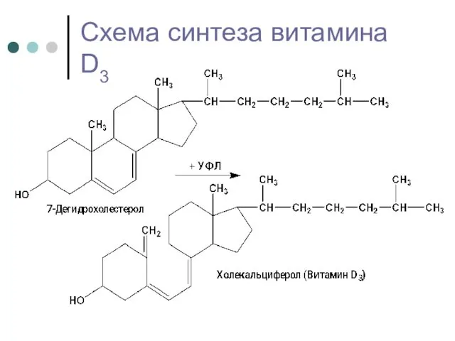 Схема синтеза витамина D3