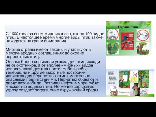 Охрана птиц. С 1600 года во всем мире исчезло, около