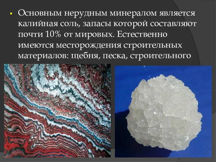 Основным нерудным минералом является калийная соль, запасы которой составляют почти