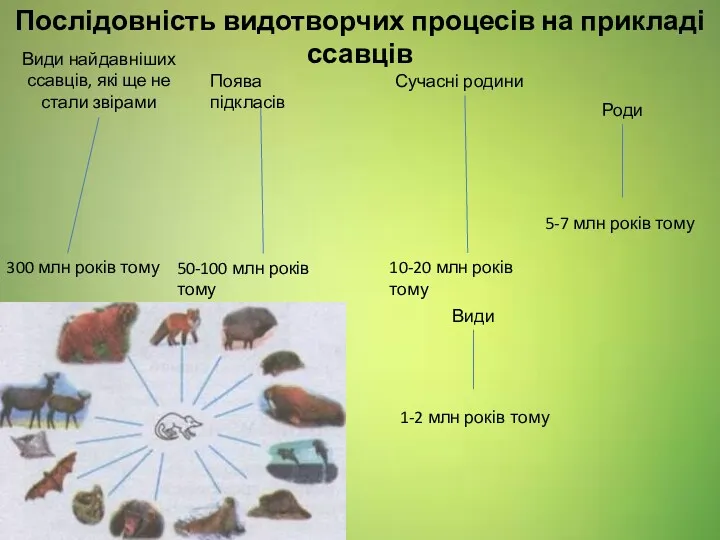Послідовність видотворчих процесів на прикладі ссавців 300 млн років тому
