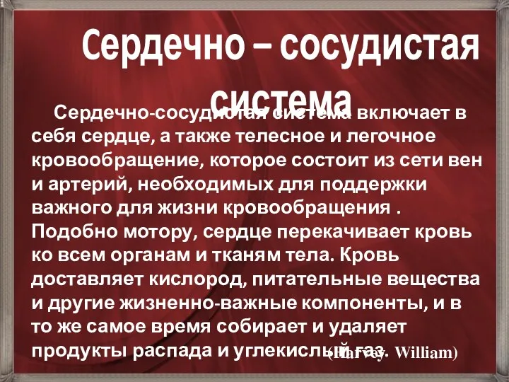 Сердечно-сосудистая система включает в себя сердце, а также телесное и