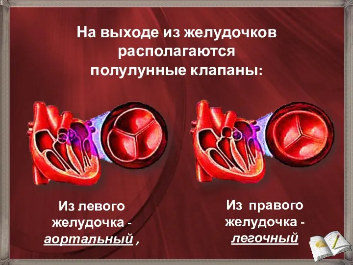 Из левого желудочка - аортальный , На выходе из желудочков