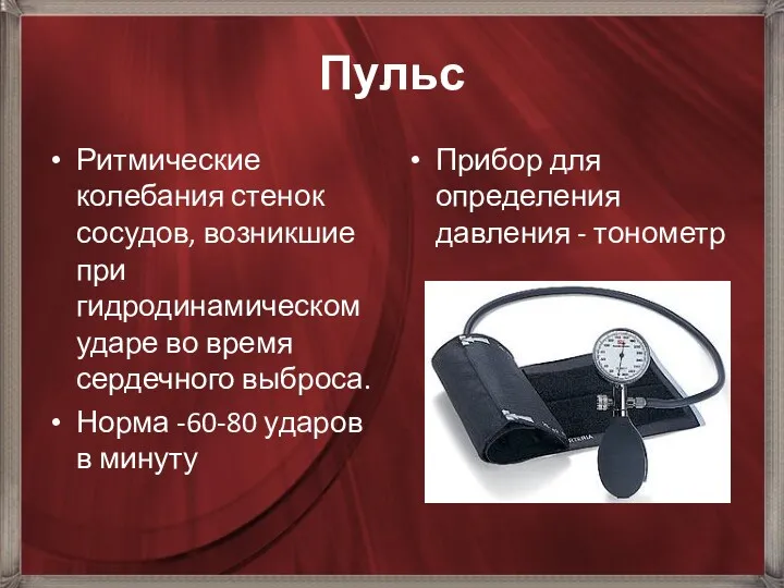 Пульс Ритмические колебания стенок сосудов, возникшие при гидродинамическом ударе во