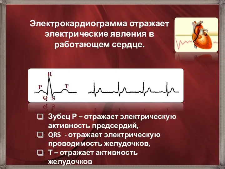 Электрокардиограмма отражает электрические явления в работающем сердце. Зубец Р –