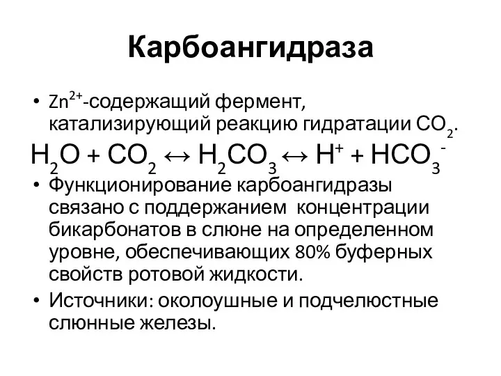 Карбоангидраза Zn2+-содержащий фермент, катализирующий реакцию гидратации СО2. Н2О + СО2