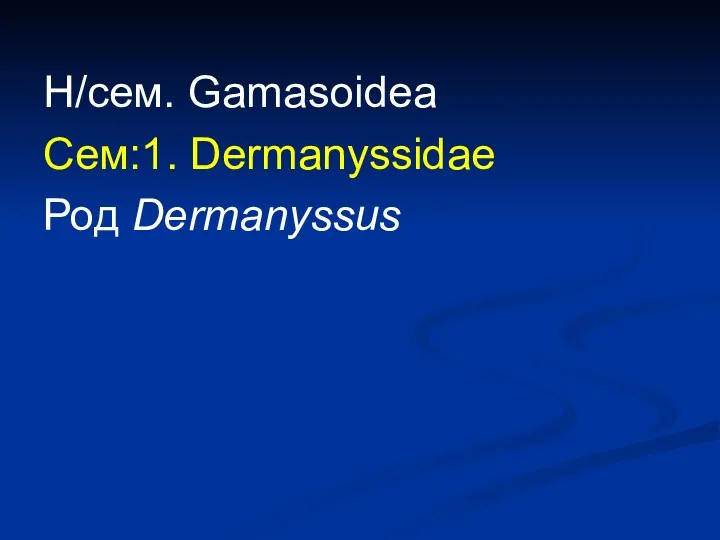 Н/сем. Gamasoidea Сем:1. Dermanyssidae Род Dermanyssus