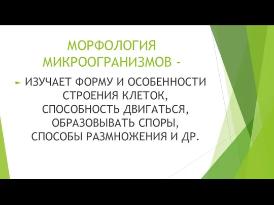 МОРФОЛОГИЯ МИКРООГРАНИЗМОВ - ИЗУЧАЕТ ФОРМУ И ОСОБЕННОСТИ СТРОЕНИЯ КЛЕТОК, СПОСОБНОСТЬ