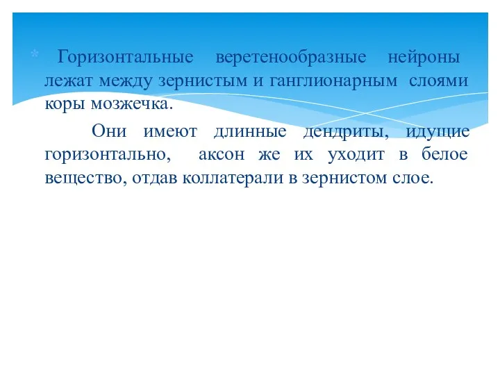 Горизонтальные веретенообразные нейроны лежат между зернистым и ганглионарным слоями коры