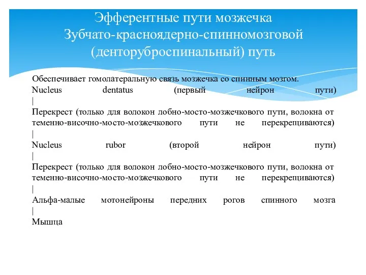 Эфферентные пути мозжечка Зубчато-красноядерно-спинномозговой (денторуброспинальный) путь Обеспечивает гомолатеральную связь мозжечка