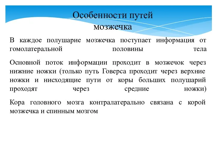 Особенности путей мозжечка В каждое полушарие мозжечка поступает информация от