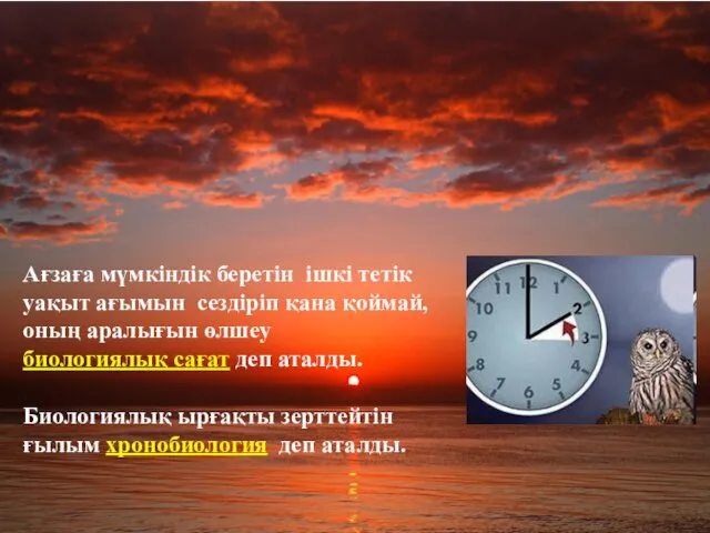 Ағзаға мүмкіндік беретін ішкі тетік уақыт ағымын сездіріп қана қоймай,