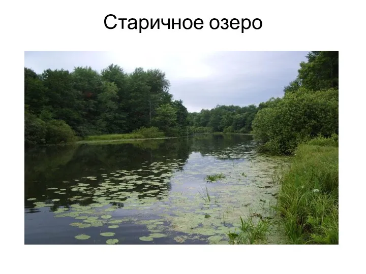 Старичное озеро