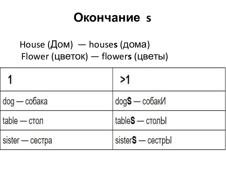 Окончание s House (Дом) — houses (дома) Flower (цветок) — flowers (цветы)