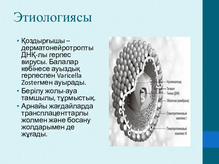 Этиологиясы Қоздырғышы –дерматонейротропты ДНҚ-лы герпес вирусы. Балалар көбінесе ауыздық герпеспен