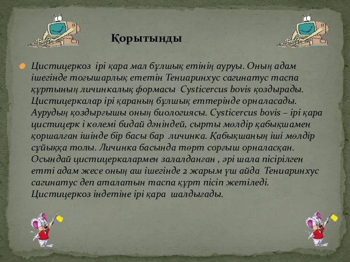 Цистицеркоз ірі қара мал бұлшық етінің ауруы. Оның адам ішегінде