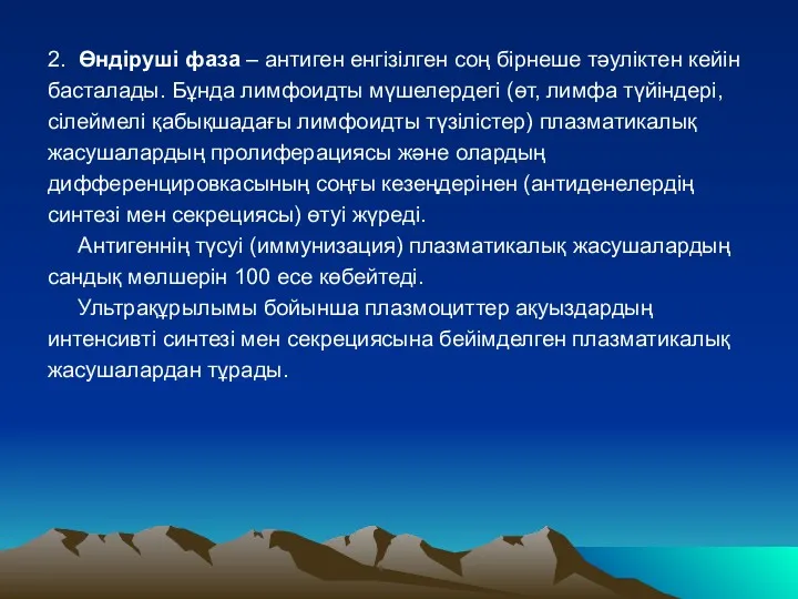 2. Өндіруші фаза – антиген енгізілген соң бірнеше тәуліктен кейін