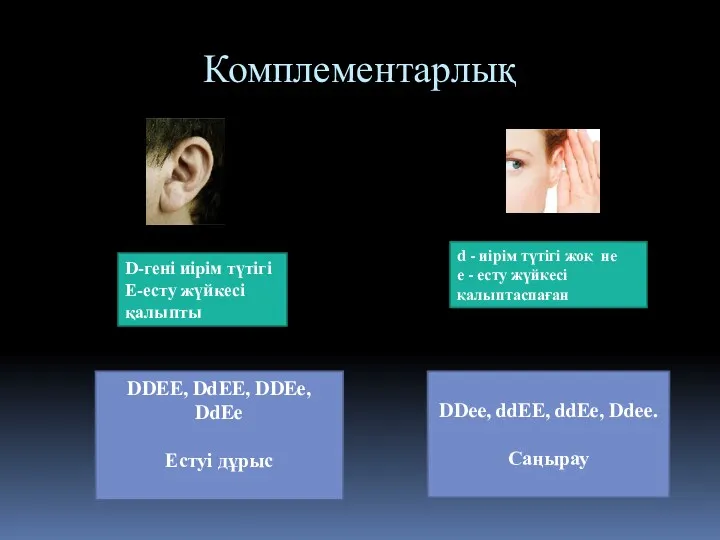 Комплементарлық D-гені иірім түтігі Е-есту жүйкесі қалыпты DDEE, DdEE, DDEe,