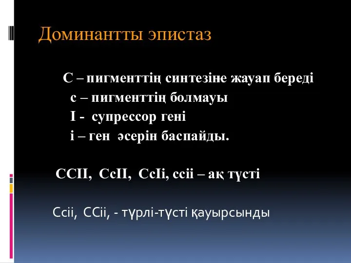 Доминантты эпистаз С – пигменттің синтезіне жауап береді с –