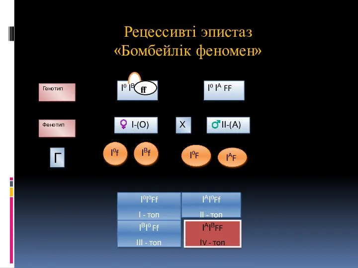 Рецессивті эпистаз «Бомбейлік феномен» І0 ІА FF І0 ІВ ff