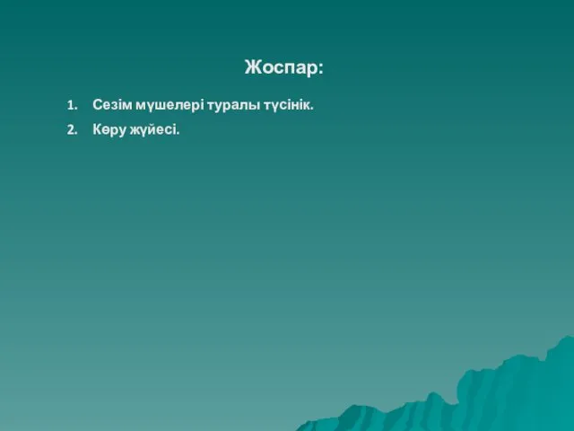 Жоспар: Сезім мүшелері туралы түсінік. Көру жүйесі.