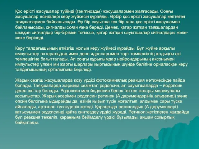 Қос өрісті жасушалар туйінді (ганглиозды) жасушалармен жалғасады. Соңғы жасушалар өсінділері