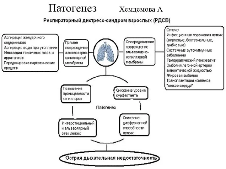 Патогенез Хемдемова А