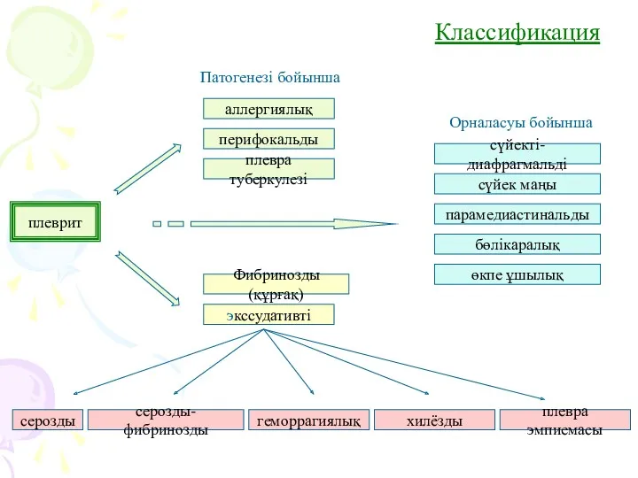 Классификация плеврит аллергиялық перифокальды плевра туберкулезі Фибринозды(құрғақ) экссудативті плевра эмпиемасы