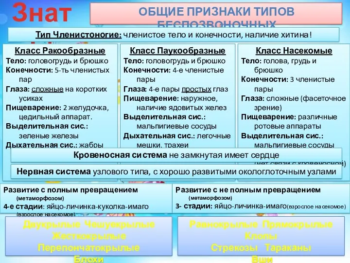 Знать! ОБЩИЕ ПРИЗНАКИ ТИПОВ БЕСПОЗВОНОЧНЫХ Тип Членистоногие: членистое тело и