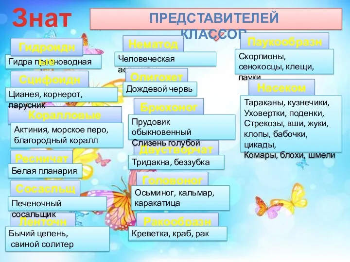 Знать! ПРЕДСТАВИТЕЛЕЙ КЛАССОВ Гидра пресноводная Гидроидные Сцифоидные Коралловые полипы Ресничаты