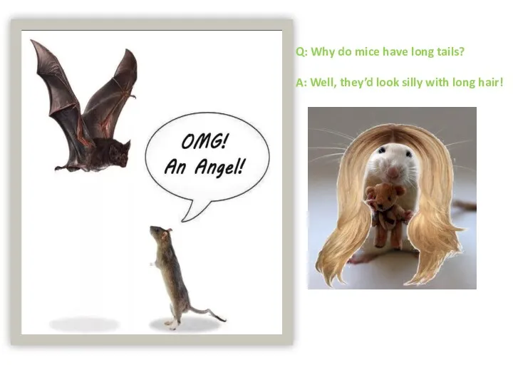 Q: Why do mice have long tails? A: Well, they’d look silly with long hair!