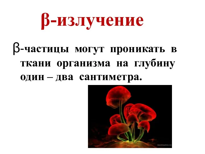 β-излучение β-частицы могут проникать в ткани организма на глубину один – два сантиметра.