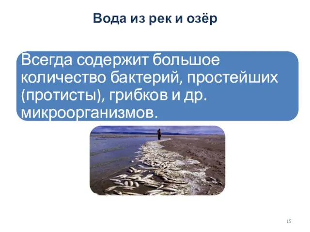 Вода из рек и озёр