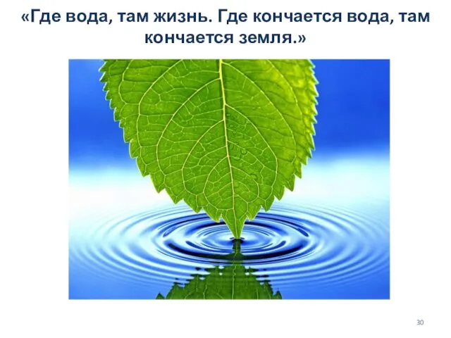 «Где вода, там жизнь. Где кончается вода, там кончается земля.»