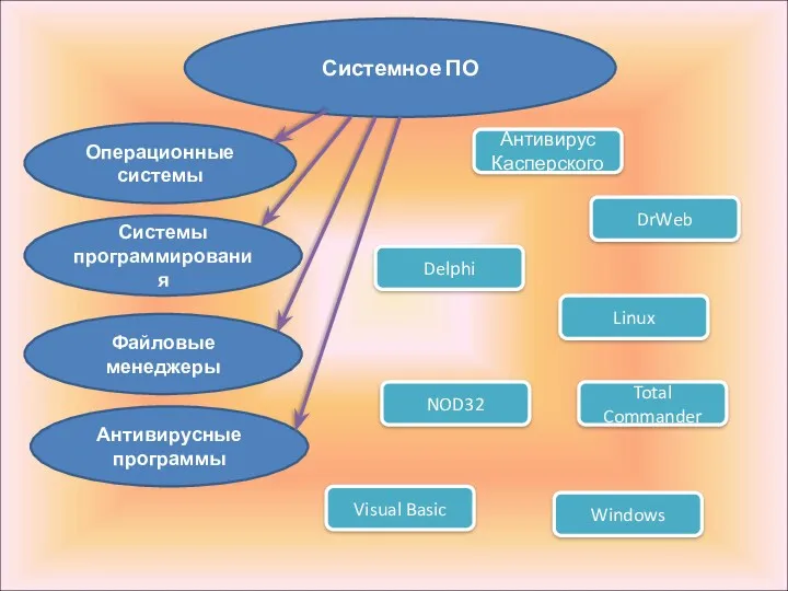 Системное ПО Операционные системы Системы программирования Файловые менеджеры Антивирусные программы Windows Linux DrWeb