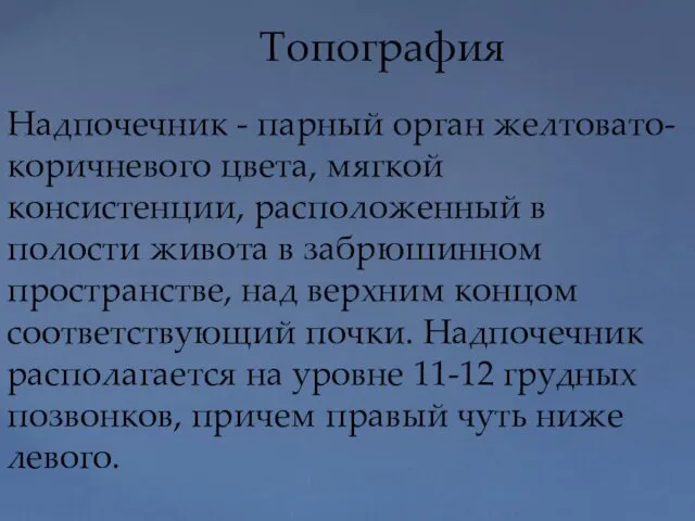 Топография Надпочечник - парный орган желтовато-коричневого цвета, мягкой консистенции, расположенный