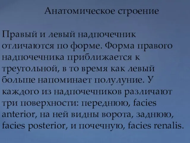 Анатомическое строение Правый и левый надпочечник отличаются по форме. Форма