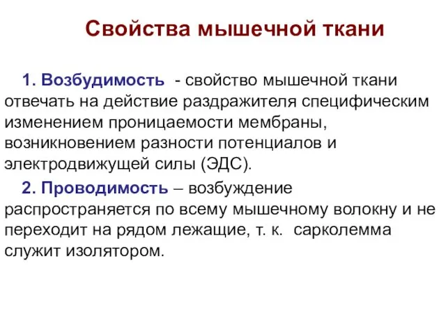 Свойства мышечной ткани 1. Возбудимость - свойство мышечной ткани отвечать