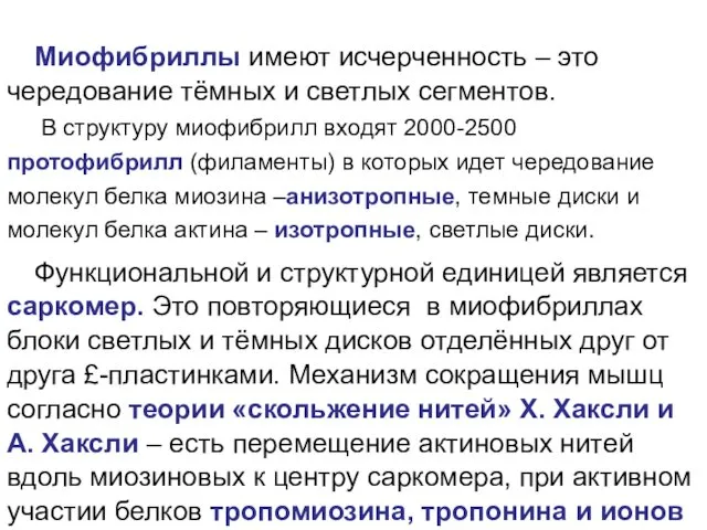 Миофибриллы имеют исчерченность – это чередование тёмных и светлых сегментов.