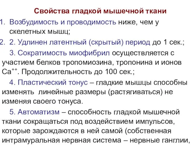 Свойства гладкой мышечной ткани Возбудимость и проводимость ниже, чем у