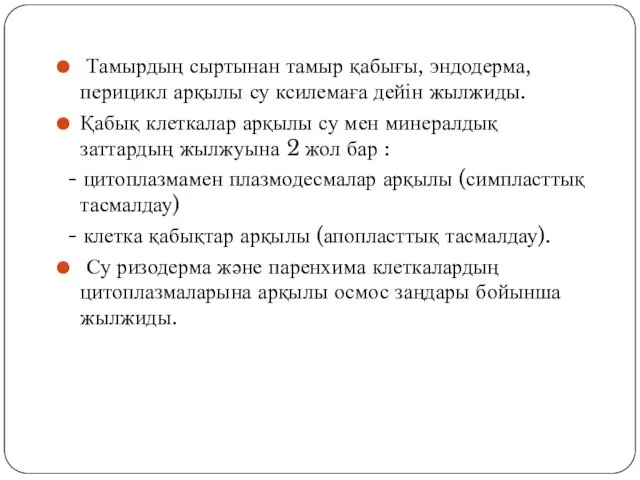 Тамырдың сыртынан тамыр қабығы, эндодерма, перицикл арқылы су ксилемаға дейін