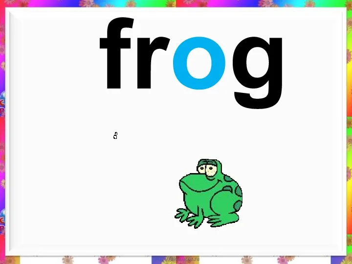 frog