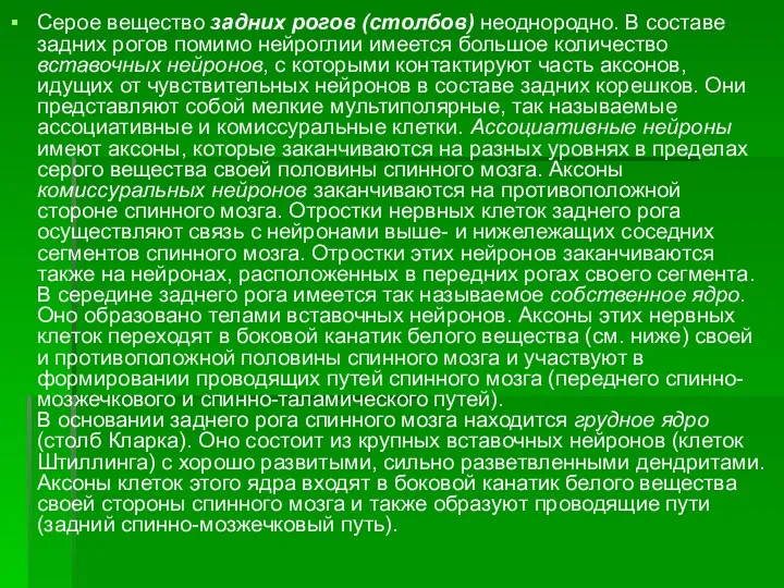 Серое вещество задних рогов (столбов) неоднородно. В составе задних рогов