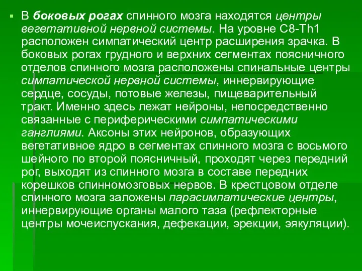 В боковых рогах спинного мозга находятся центры вегетативной нервной системы.