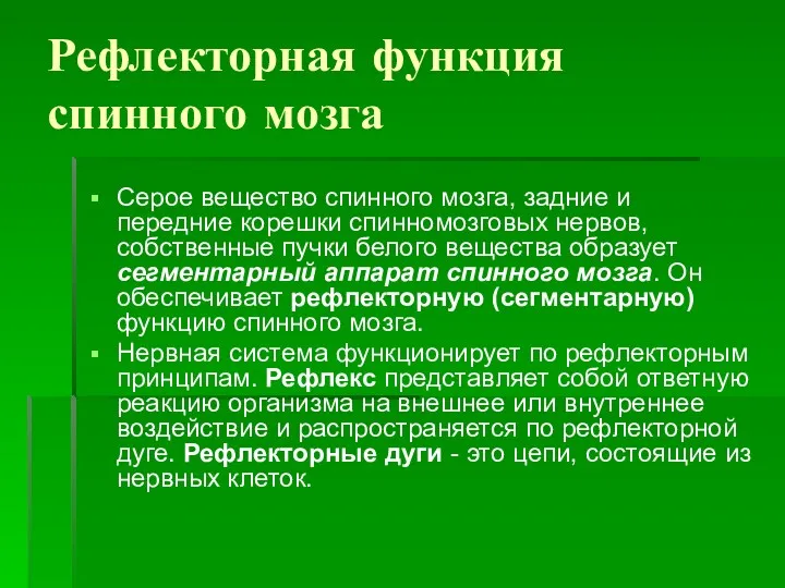 Рефлекторная функция спинного мозга Серое вещество спинного мозга, задние и