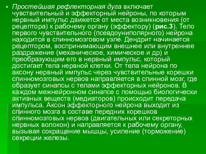 Простейшая рефлекторная дуга включает чувствительный и эффекторный нейроны, по которым