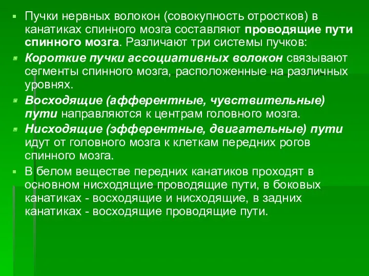 Пучки нервных волокон (совокупность отростков) в канатиках спинного мозга составляют